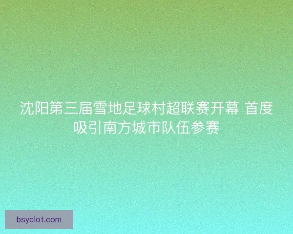 沈阳第三届雪地足球村超联赛开幕 首度吸引南方城市队伍参赛