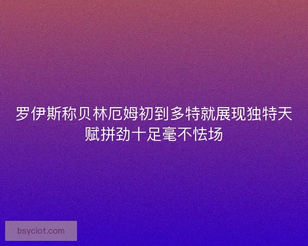 罗伊斯称贝林厄姆初到多特就展现独特天赋拼劲十足毫不怯场