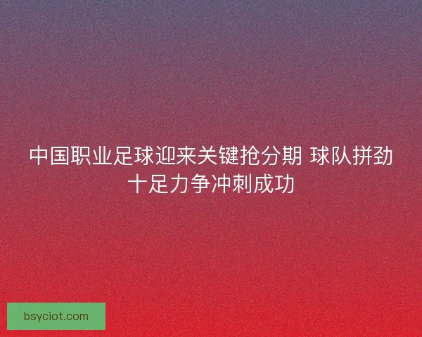 中国职业足球迎来关键抢分期 球队拼劲十足力争冲刺成功